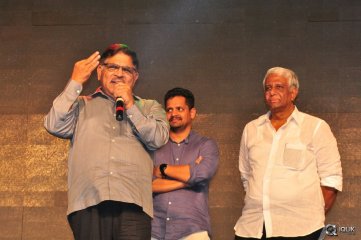 Sarrainodu Movie Blockbuster Function